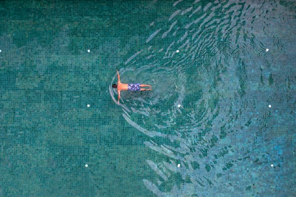 Wie kÃ¶nnen Sie einen Garten fÃ¼r Wildtiere einladend gestalten?